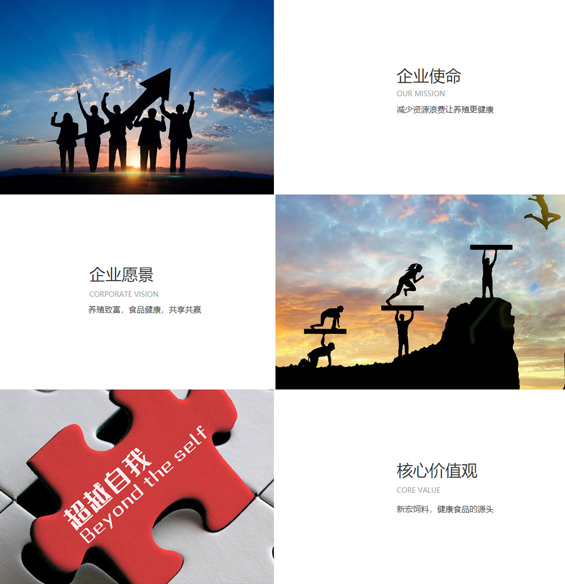 非凡娱乐app苹果最新版下载(图1)